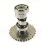 Camshaft - Performance Camshaft Hoca QMB139 50cc for WOLF ISLANDER 50 > Part #169GRS105